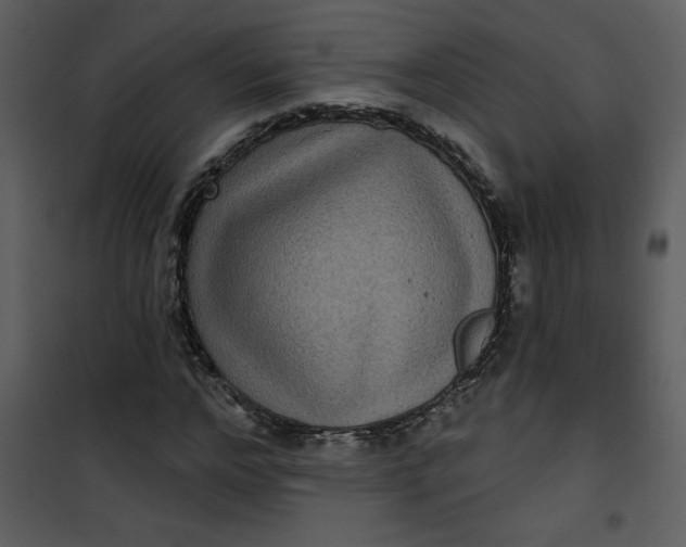 X0000101140968200807181251