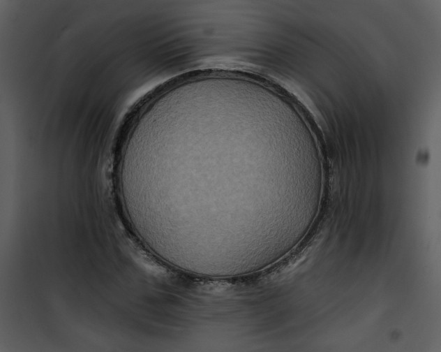 X0000101140971200807181251