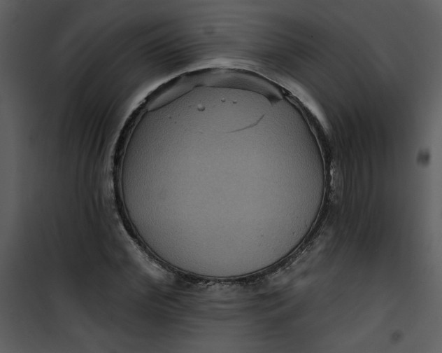 X0000101140972200807181251