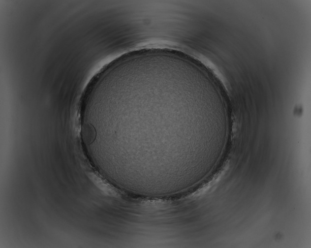 X0000101140973200807181251