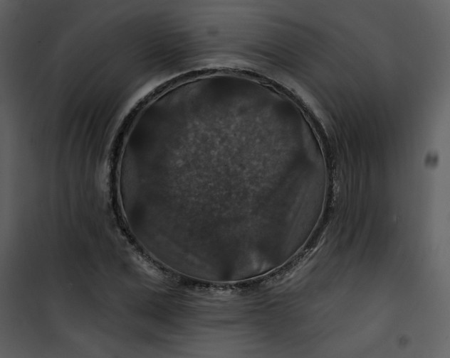 X0000101140975200807181251