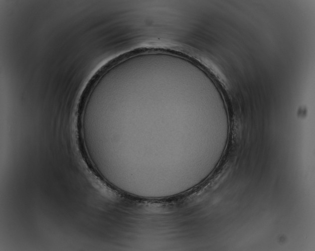 X0000101140976200807181251