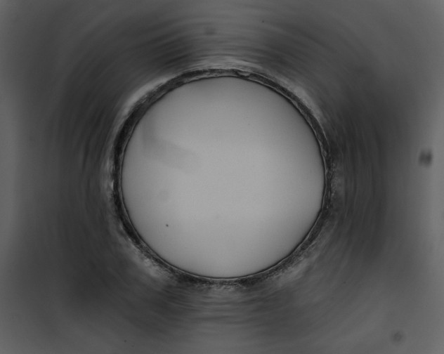 X0000101140979200807181251