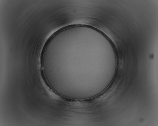 X0000101140980200807181251