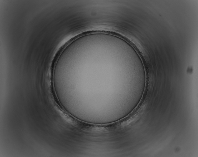 X0000101140982200807181251