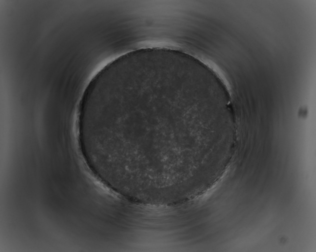 X0000101140983200807181251