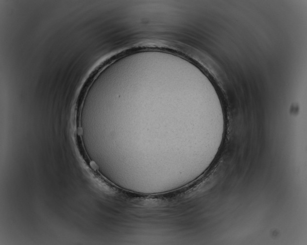 X0000101140984200807181251