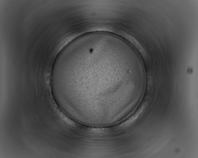 X0000101140985200807181251