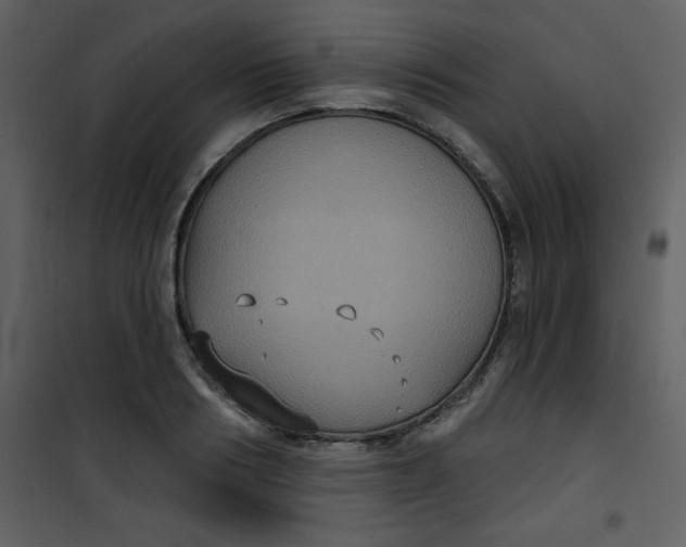 X0000101140986200807181251