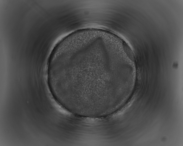 X0000101140987200807181251