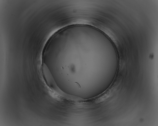 X0000101140988200807181251