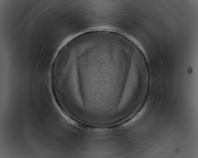 X0000101140989200807181251