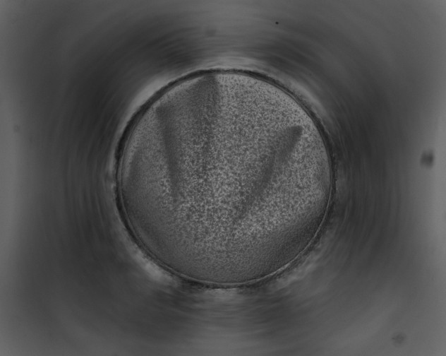 X0000101140990200807181251