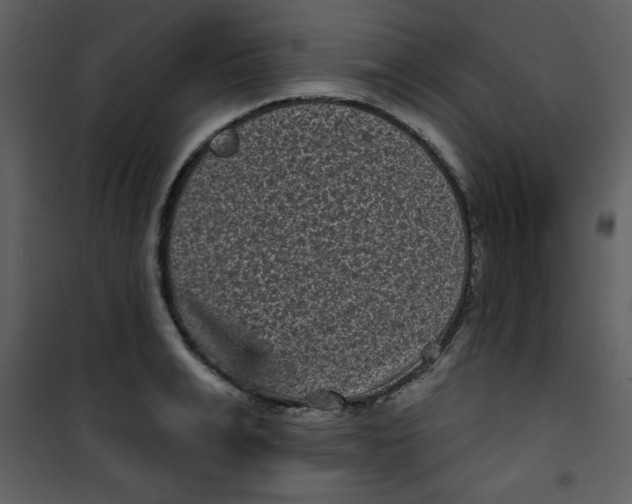 X0000101140991200807181251