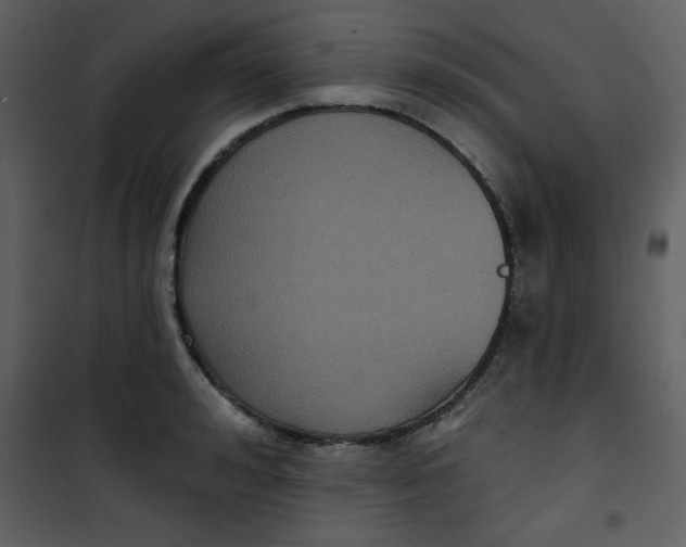 X0000101140992200807181251