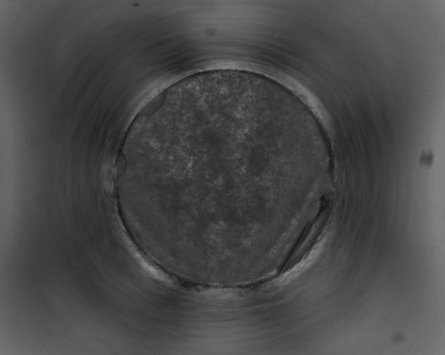 X0000101140993200807181251