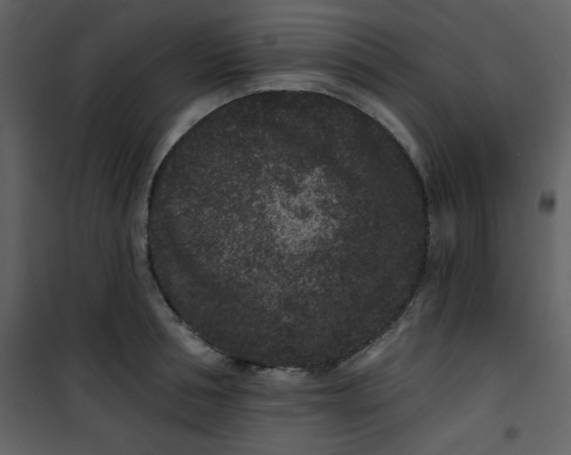 X0000101140994200807181251