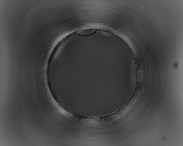 X0000101140995200807181251