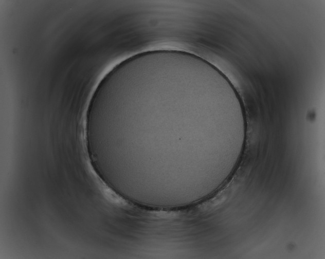 X0000101140996200807181251