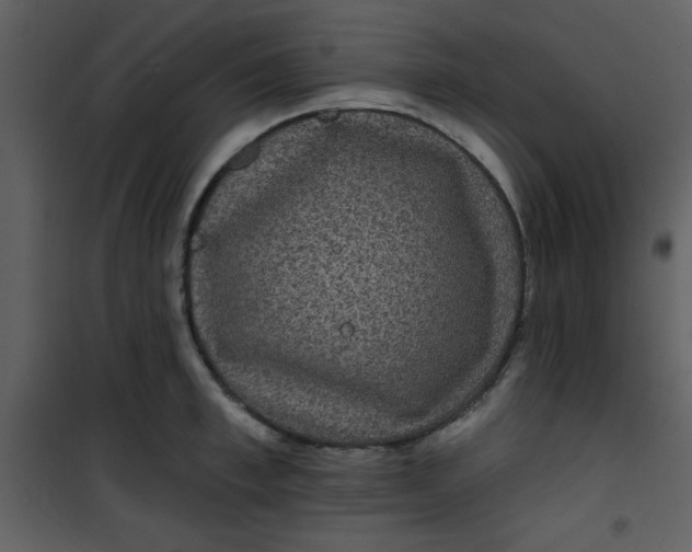 X0000101140997200807181251