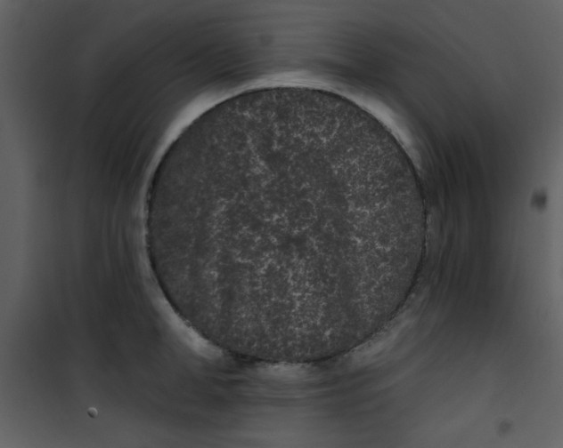 X0000101140998200807181251