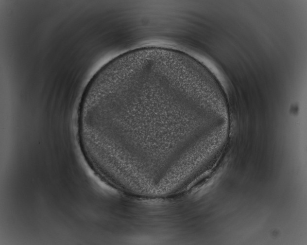 X0000101140999200807181251