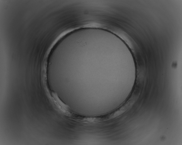 X0000101141000200807181251