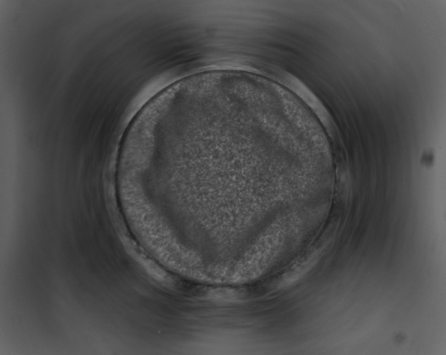 X0000101141002200807181250