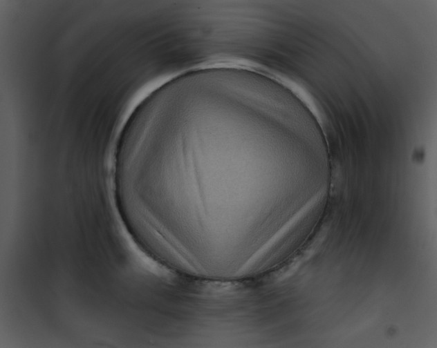 X0000101141003200807181250