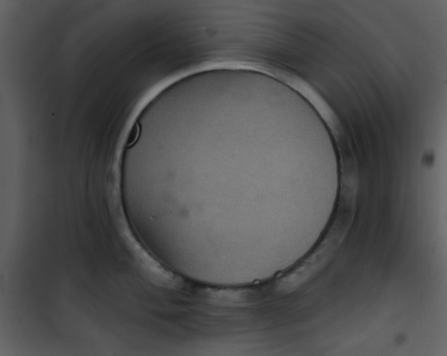 X0000101141004200807181250