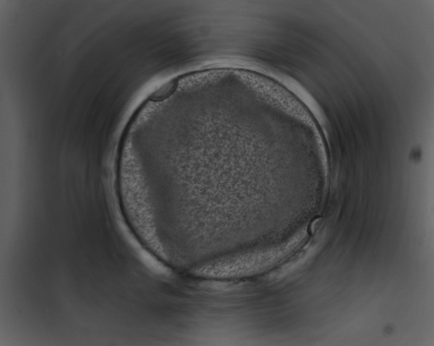 X0000101141005200807181250