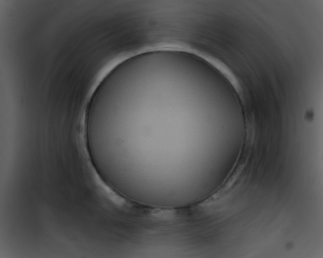 X0000101141006200807181250