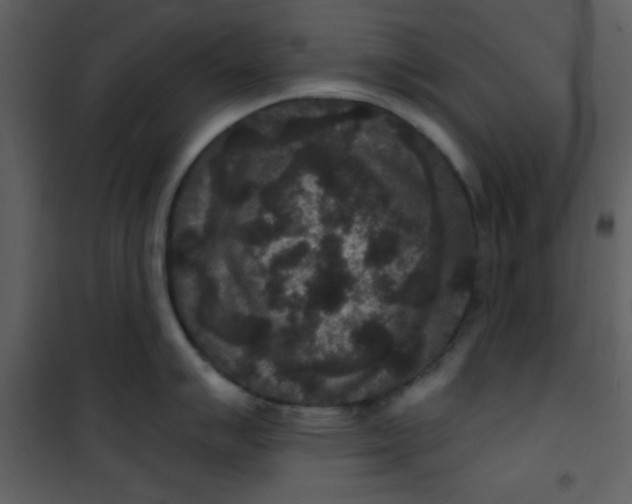 X0000101141007200807181250