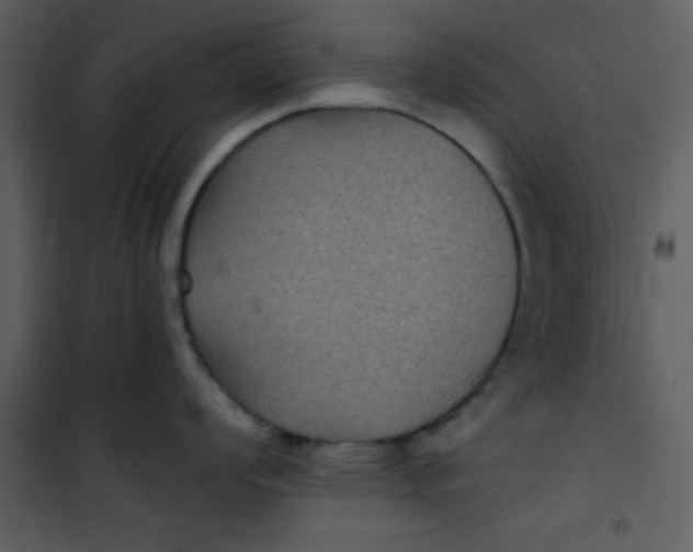 X0000101141008200807181250