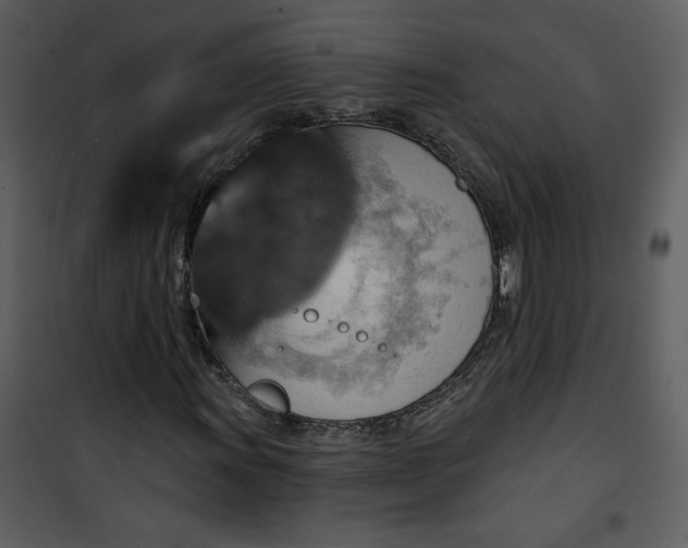 X0000101141011200807181250