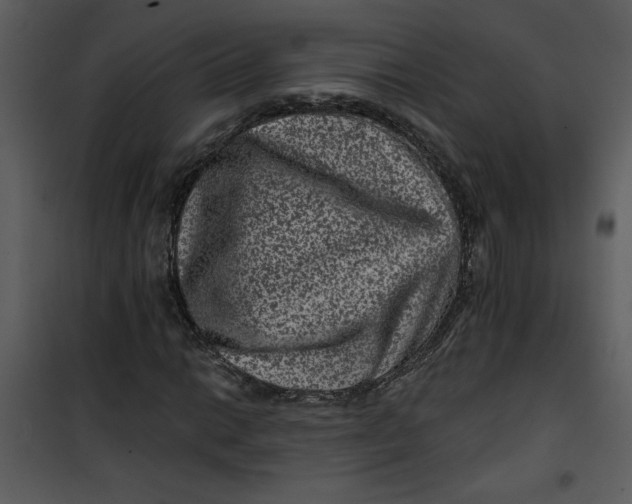 X0000101141014200807181250