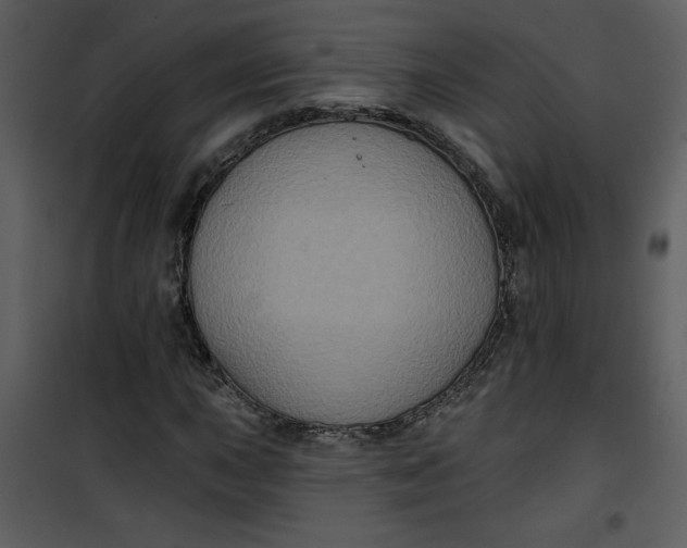 X0000101141015200807181250