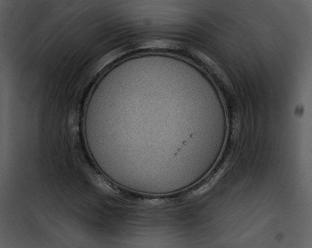 X0000101141017200807181250