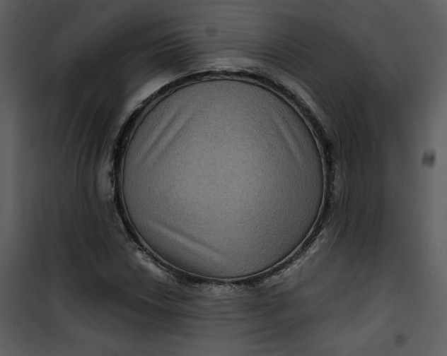 X0000101141018200807181250