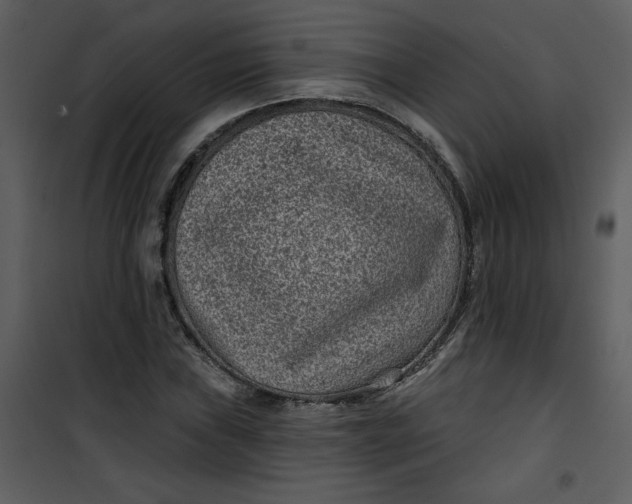 X0000101141019200807181250