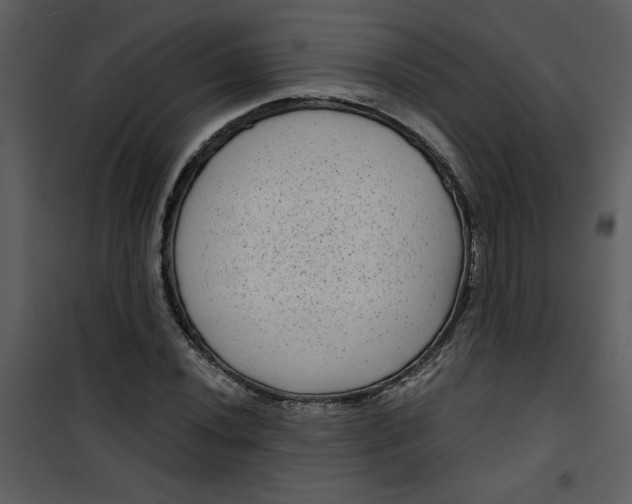 X0000101141020200807181250