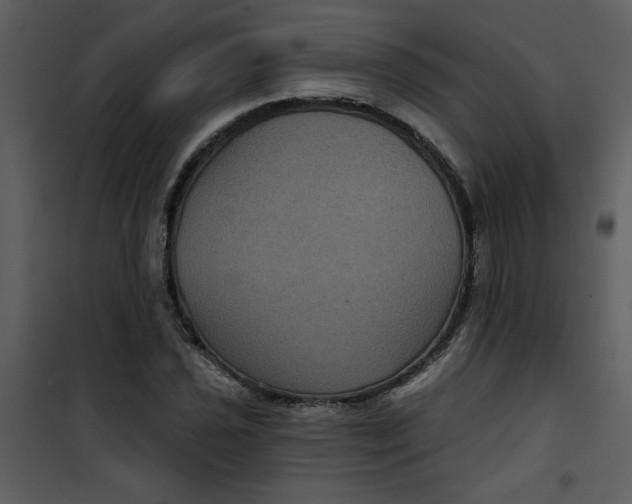 X0000101141021200807181250