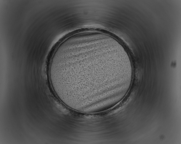 X0000101141022200807181250