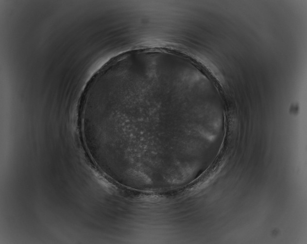 X0000101141023200807181250