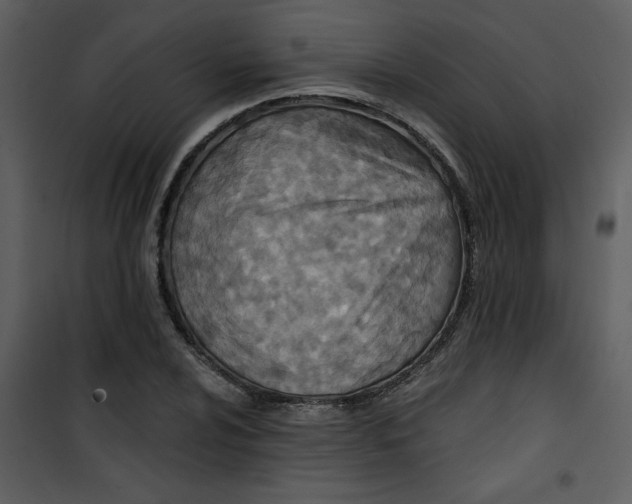 X0000101141024200807181250