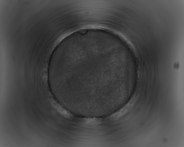 X0000101141025200807181250