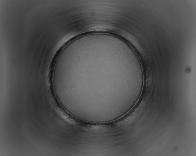 X0000101141026200807181250