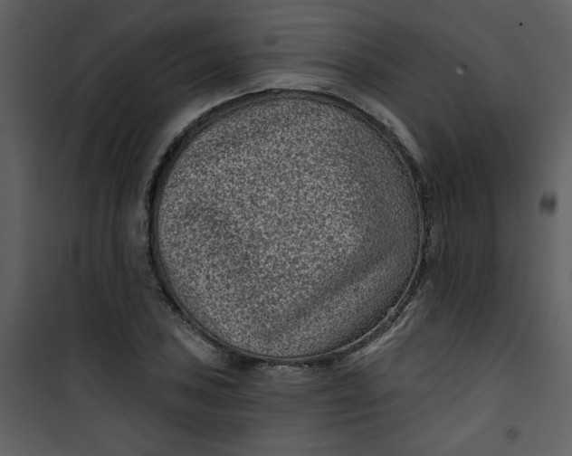 X0000101141027200807181250