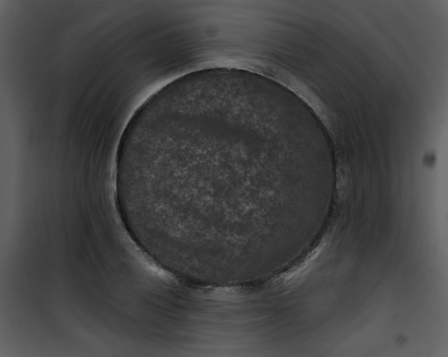 X0000101141028200807181250