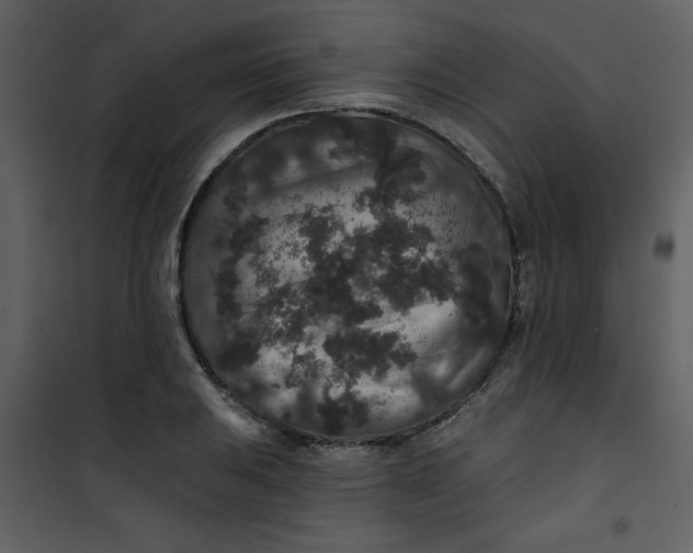 X0000101141031200807181250